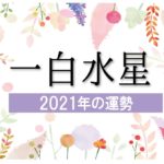 【一白水星】2021年の運勢と月別吉方位と凶方位